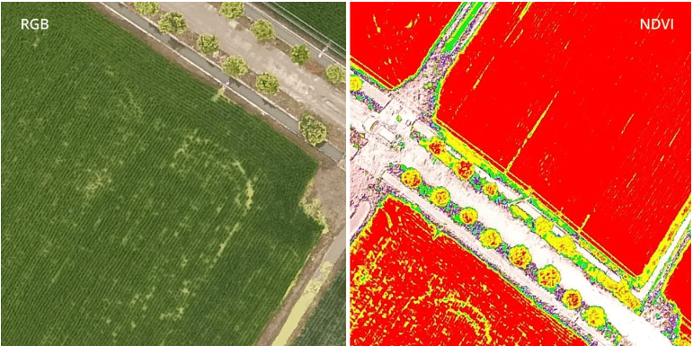 Комплексное решение для точного земледелия DJI P4 Multispectral + D-RTK 2 станция GNSS + DJI Terra 3 Комплексное решение для точного земледелия DJI P4 Multispectral + D-RTK 2 станция GNSS + DJI Terra