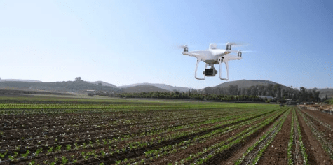 DJI P4 Multispectral — точные сельскохозяйственные данные 4 DJI P4 Multispectral — точные сельскохозяйственные данные