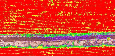 DJI P4 Multispectral — точные сельскохозяйственные данные 5 DJI P4 Multispectral — точные сельскохозяйственные данные