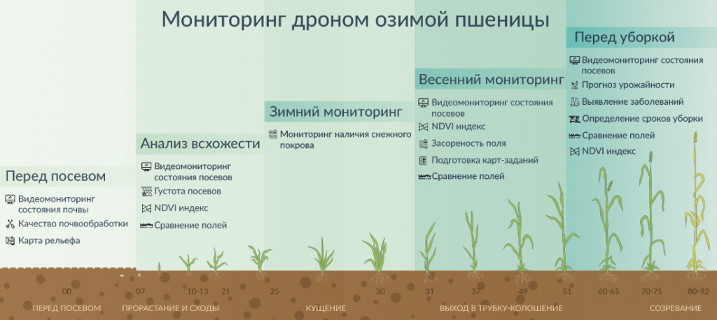 Мультиспектральный сенсор — возможность увидеть больше 4 Мультиспектральный сенсор — возможность увидеть больше