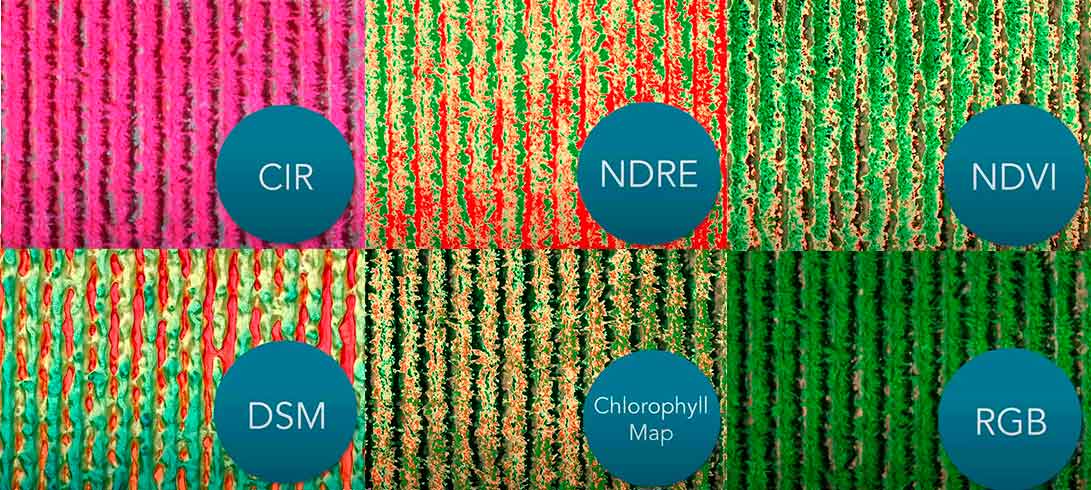 rededge mx maps