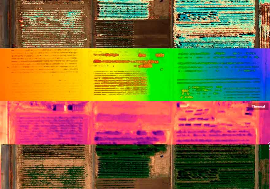 Мультиспектральная камера MicaSense Altum 1 Micasense Altum maps