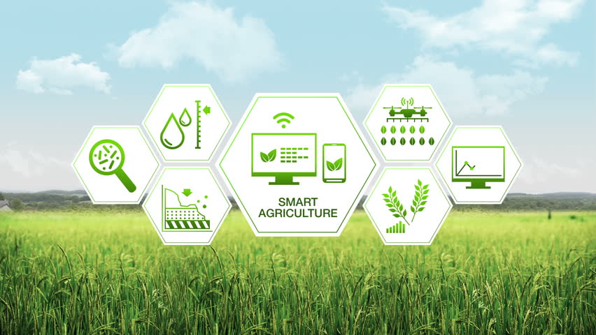smart farming