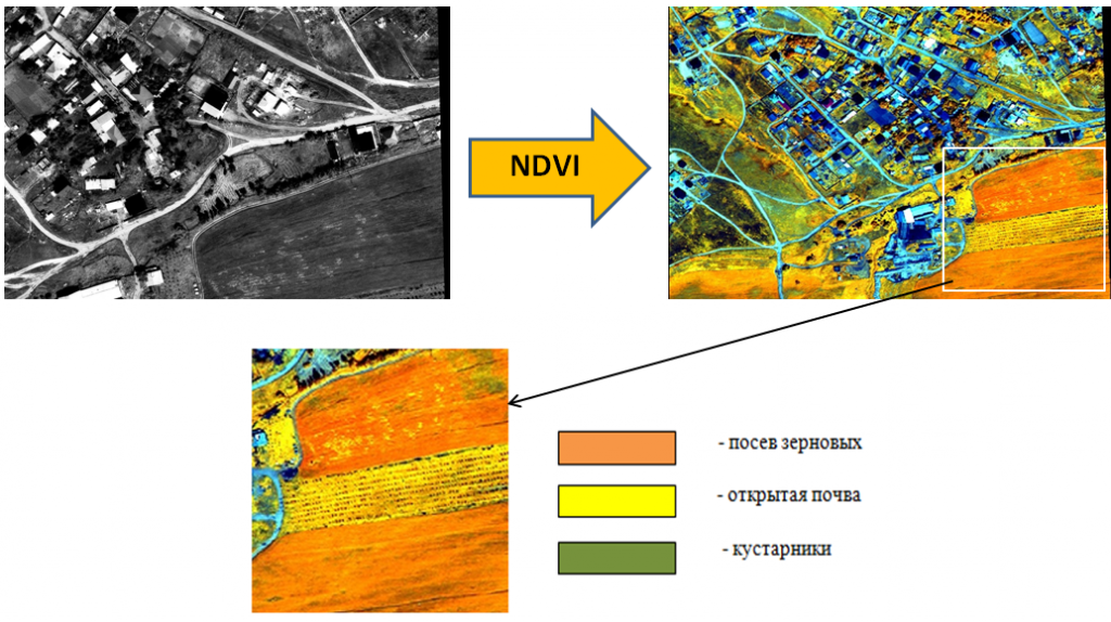 Обзор возможностей индекса NDVI 1 Обзор возможностей индекса NDVI