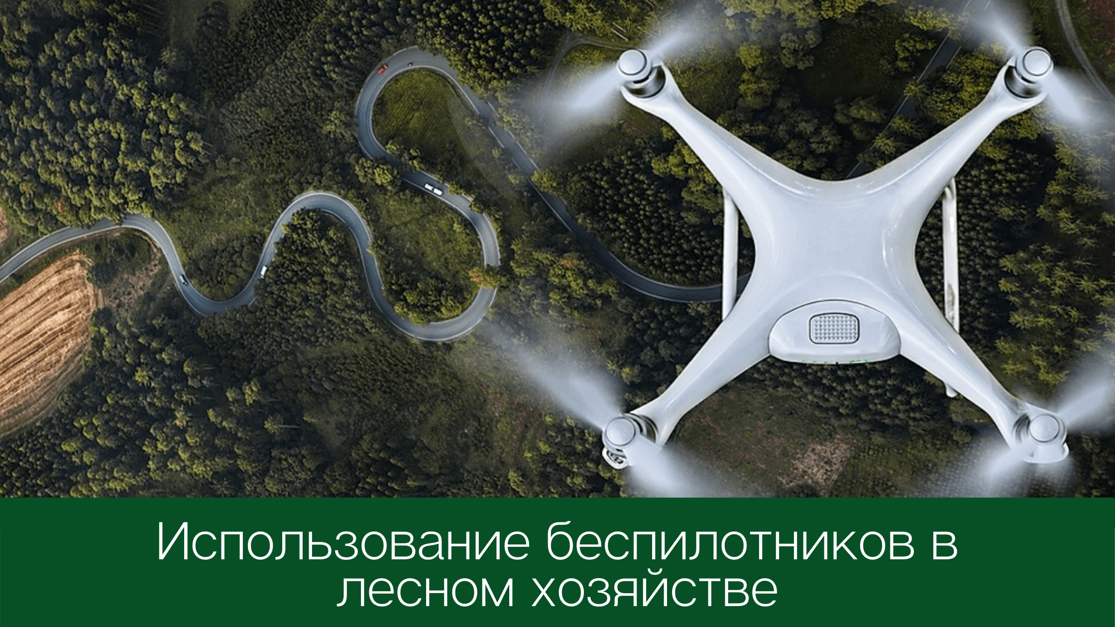 Использование беспилотников в лесном хозяйстве
