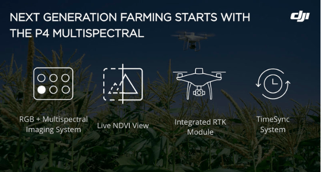 P4 Multispectral — интеллектуальный сельскохозяйственный инструмент