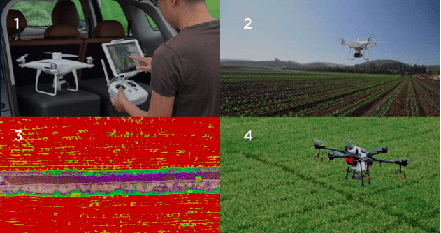 P4 Multispectral — интеллектуальный сельскохозяйственный инструмент 5 P4 Multispectral — интеллектуальный сельскохозяйственный инструмент