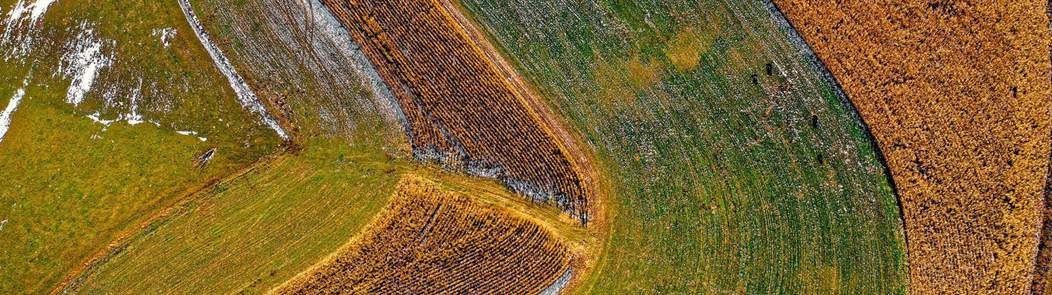 MicaSense Altum-PT в комплекте с DJI SkyPort Kit 3 MicaSense Altum-PT в комплекте с DJI SkyPort Kit