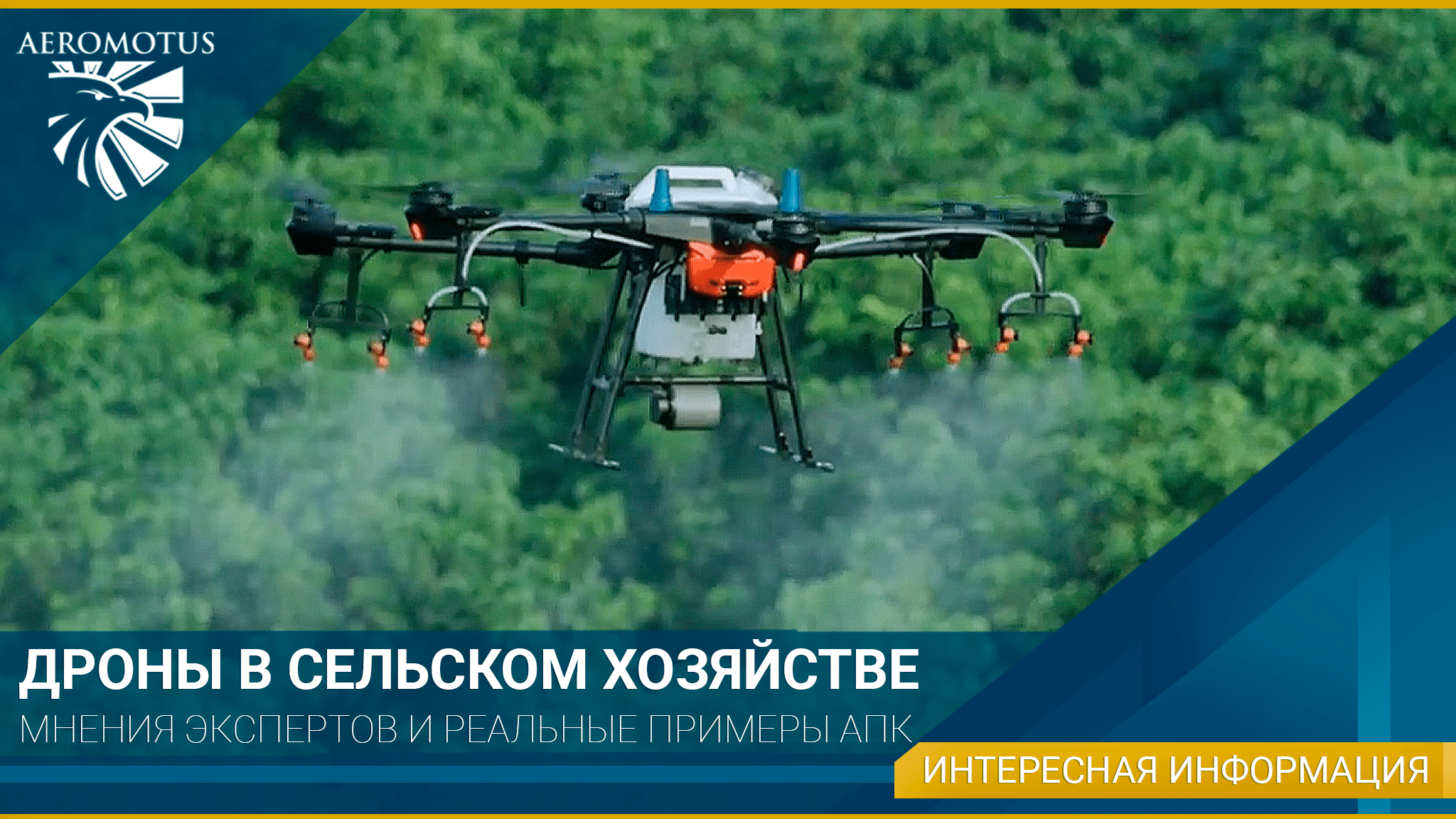 Дроны в сельском хозяйстве: мнения экспертов и реальные примеры АПК