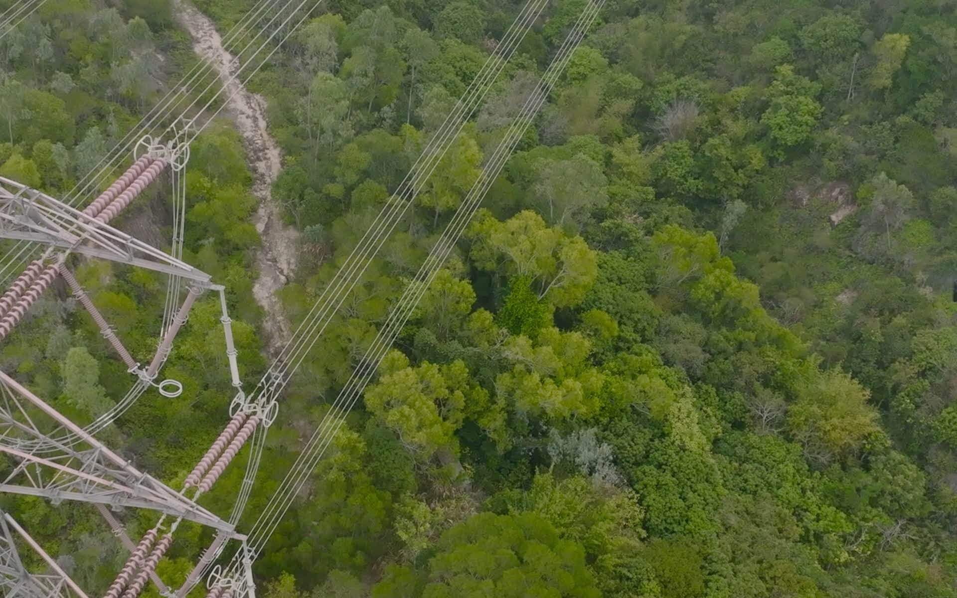 DJI Matrice 30T (M30T)+ зарядная станция BS30 -