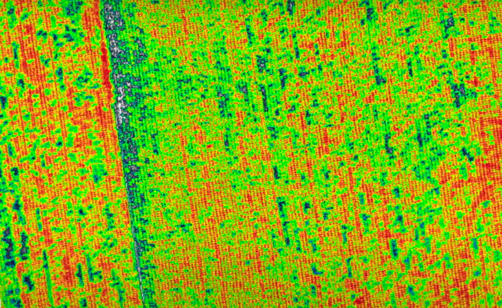 DJI выпустили новый дрон Mavic 3 Multispectral для агрономов и экологов