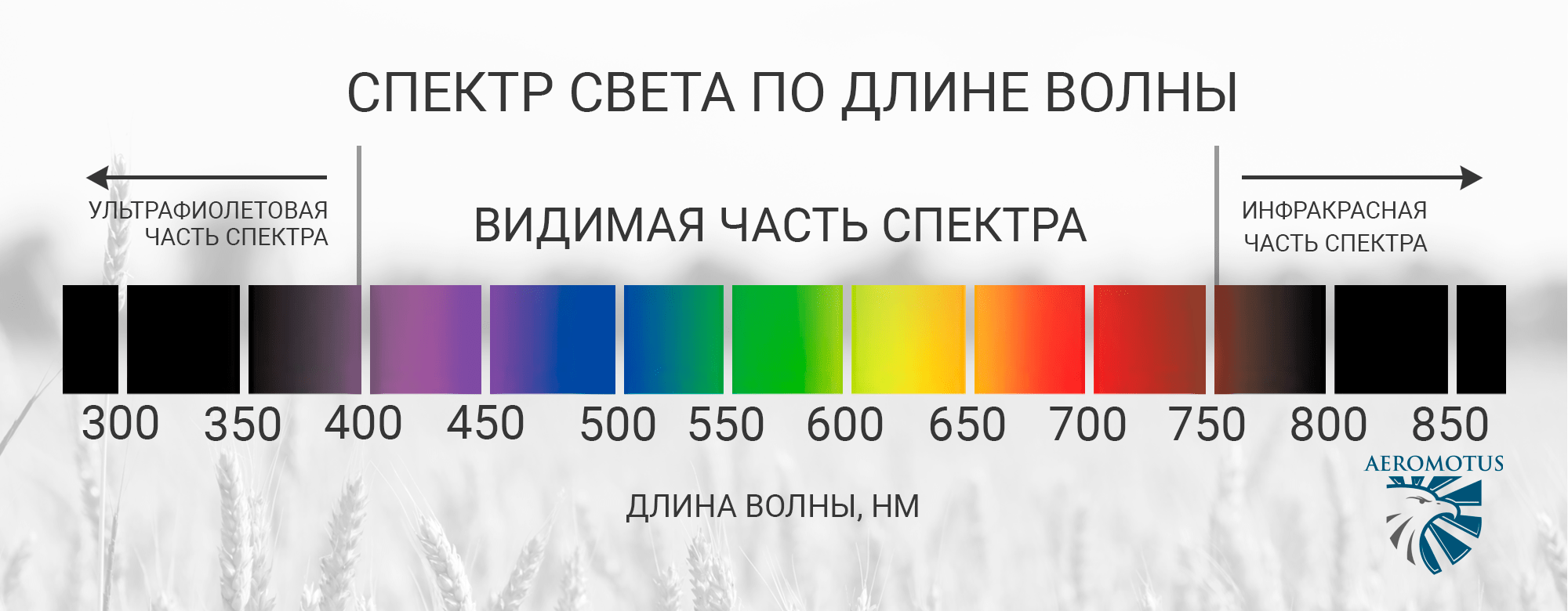 DJI выпустили новый дрон Mavic 3 Multispectral для агрономов и экологов