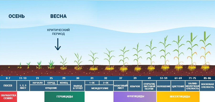 Беспилотники для российского сельского хозяйства
