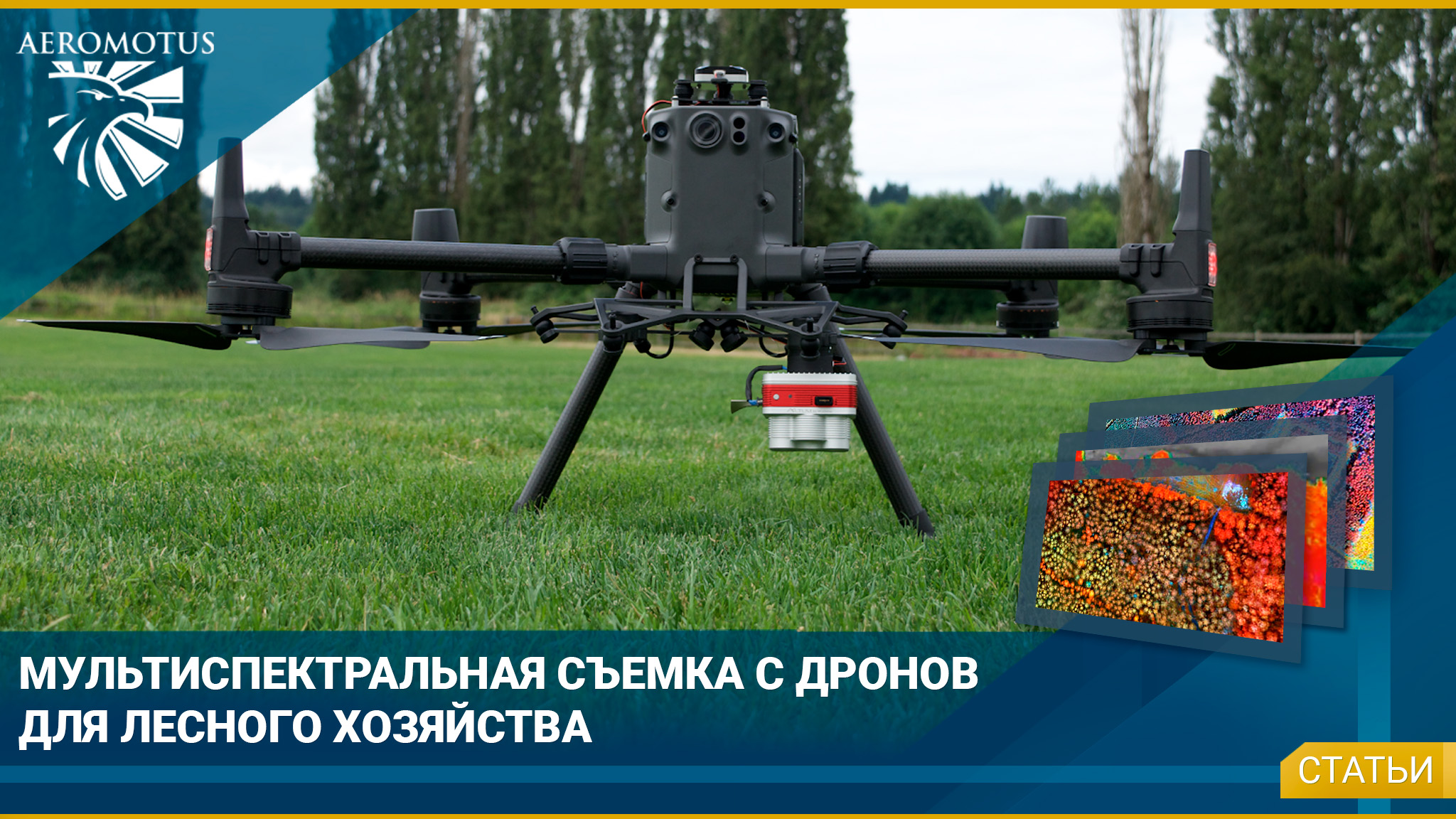 Мультиспектральная съемка с дронов для лесного хозяйства