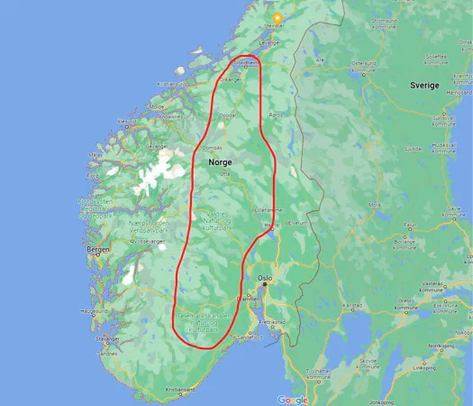 Применение беспилотника Matrice 300 RTK совместно с ИИ помогает спасать норвежские леса