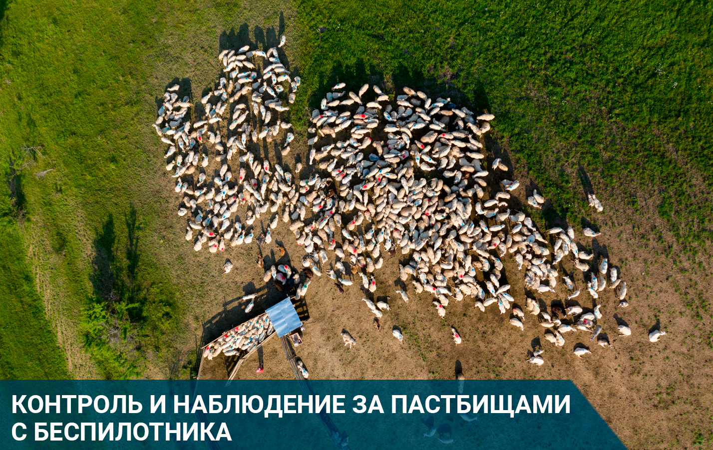 Профессиональные беспилотники: возможности применения и сферы