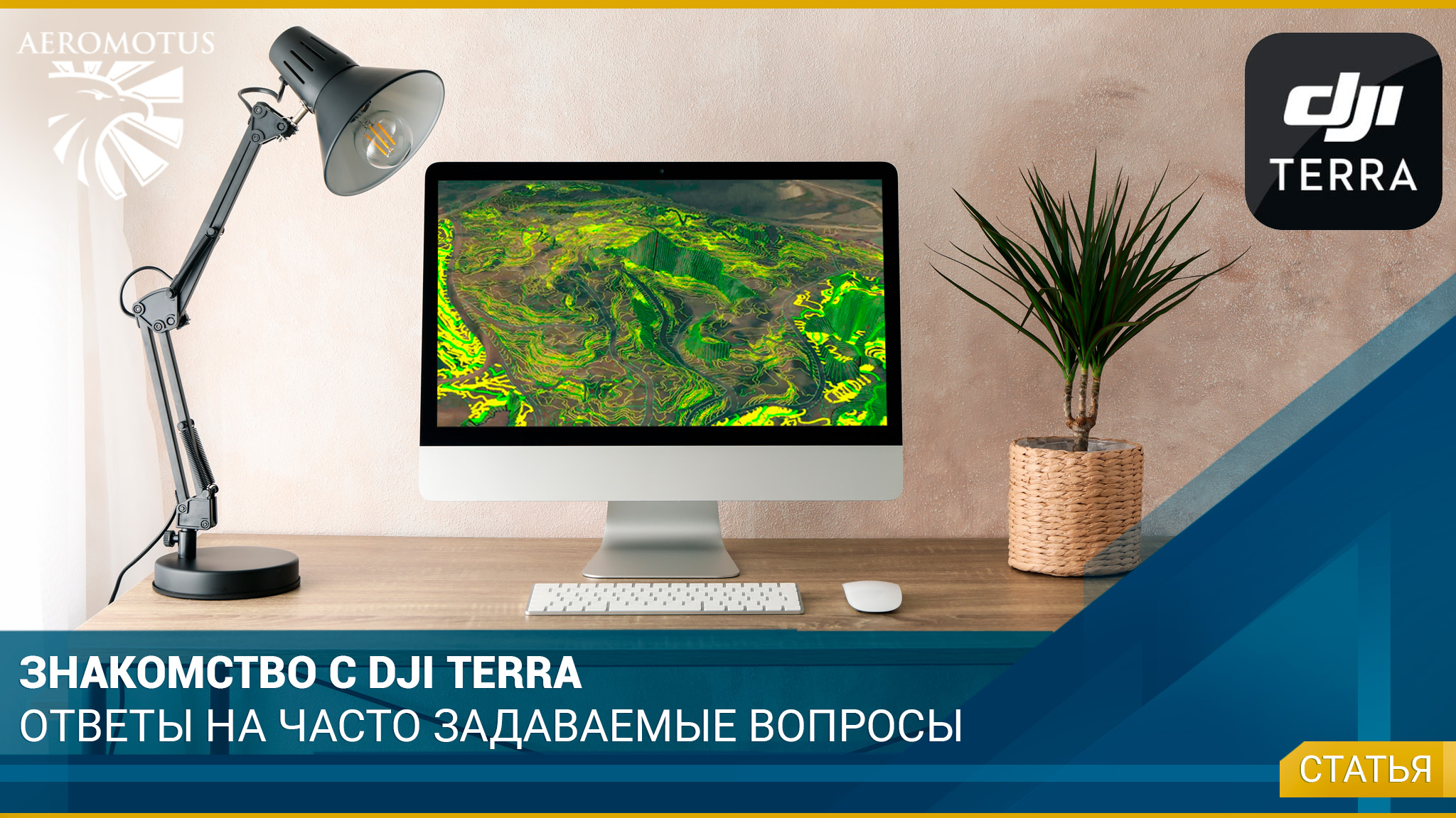 Знакомство с DJI Terra: ответы на часто задаваемые вопросы