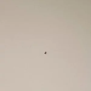 DJI Mavic Mini Набор винтов (Aircraft Screw Kit)