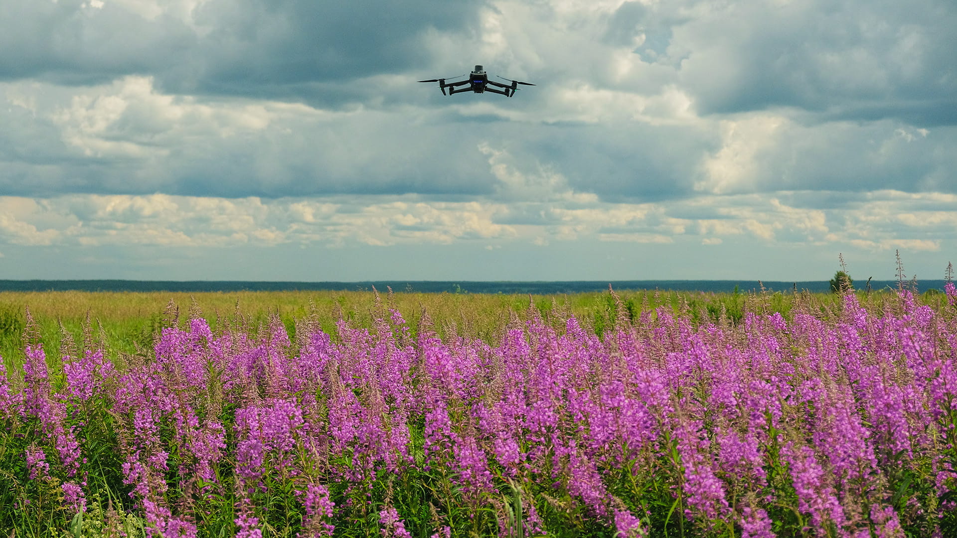 Дроны DJI для умного земледелия. Запуск беспилотного агросервиса «НижегородАвиа». DJI Mavic 3 Multispectral